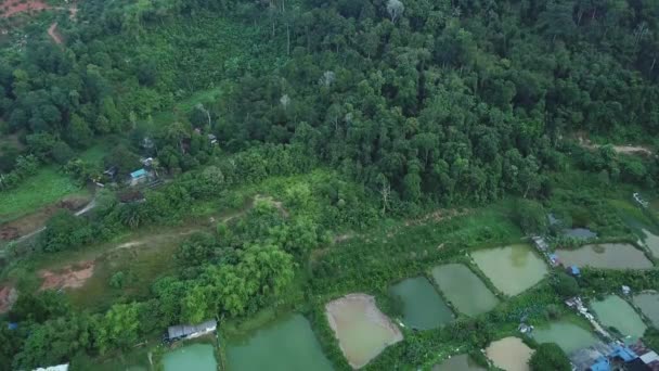 Asya Köyündeki Pirinç Rezervlerinin Manzaralı Hava Görüntüleri — Stok video