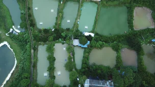 Natursköna Flygbilder Vattenreservoarer För Ris Den Asiatiska Byn — Stockvideo