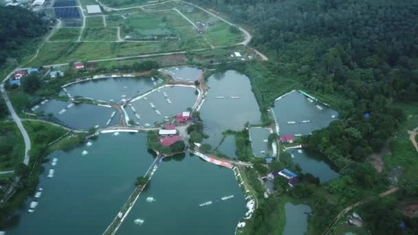 アジアの村の米の貯水池の風光明媚な空撮 — ストック動画