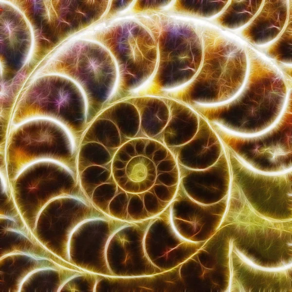 Stäng Ammonit Shell Form Fraktal Abstrakt Bakgrund — Stockfoto