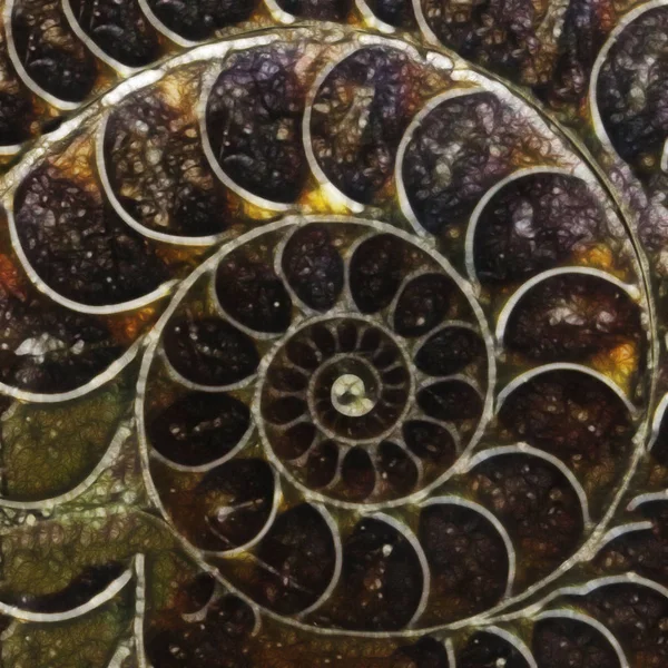 Close View Ammonite Shell Form Fractal Abstract Background — Stock Photo, Image