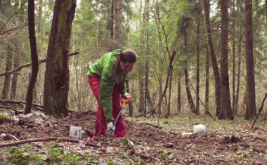 Woman ecologist in the forest digging a soil slit clipart