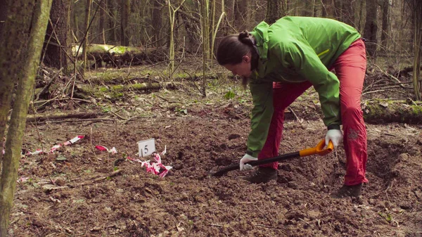 森林土壌のスリットを掘りで女性の生態学者 — ストック写真