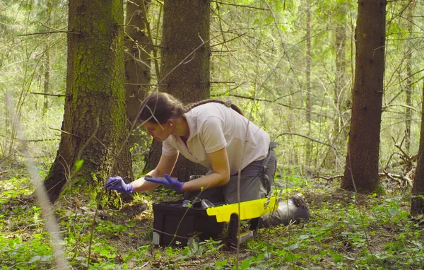 Ecologo scienziato nella foresta che preleva campioni di muschio — Foto Stock
