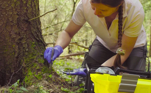 Wetenschapper ecoloog in het forest monsterneming van planten — Stockfoto