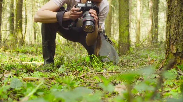 Ekolog, Dokonywanie zdjęcia w lesie. — Zdjęcie stockowe