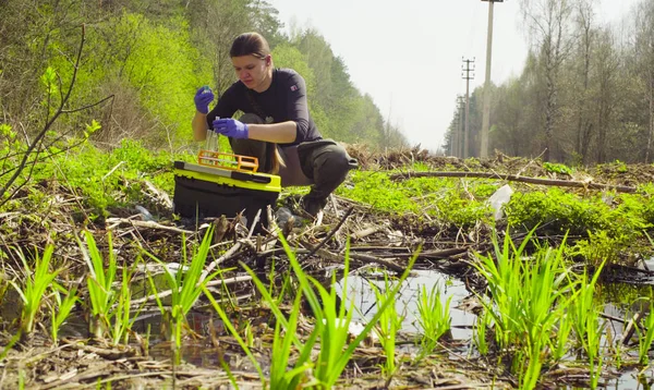 Cientista ecologista na floresta recolhendo amostras de água — Fotografia de Stock