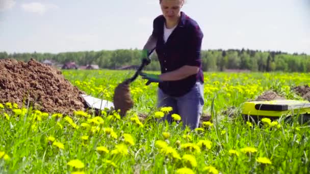 Жінка-еколог на лузі копає ґрунт щілини — стокове відео