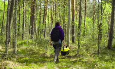 Araştırma yere ekolojist.