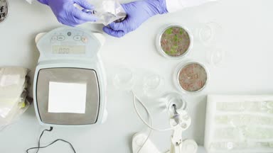 Toprak örneği tartma bilim adamları eller