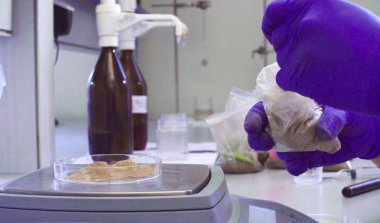 Toprak örneği tartma bilim adamları eller