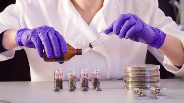 Gli scienziati versano il solvente nelle bottiglie — Foto Stock