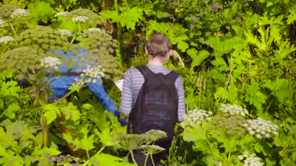 Two ecologists going to the point of research — Stock Video
