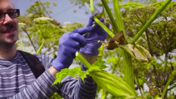 Περιβαλλοντολόγοι άνδρας και γυναίκα εξέταση φυτών — Αρχείο Βίντεο