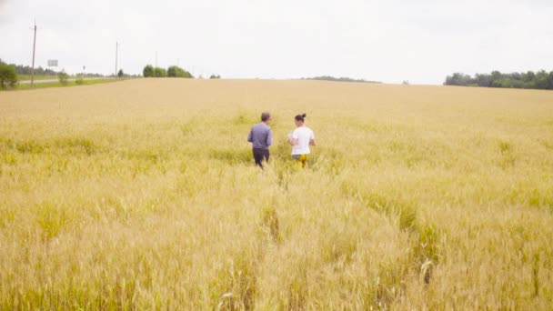 Dos ecologistas caminando por el campo de trigo — Vídeo de stock