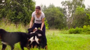 Kadın iki bernese çoban köpekleri ile poz