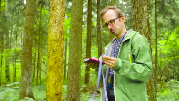 L'écologiste dans une forêt mesurant un tronc d'arbre 