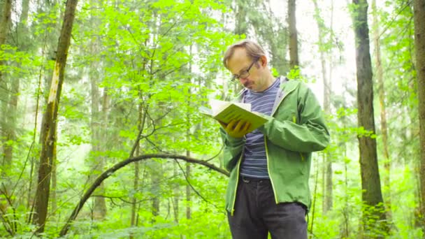 L'écologiste dans une forêt examinant une plante 