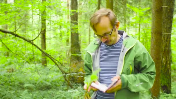 L'écologiste dans une forêt examinant une plante 