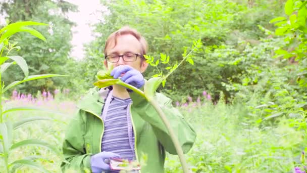 El ecologista en un bosque examinando la planta — Vídeos de Stock