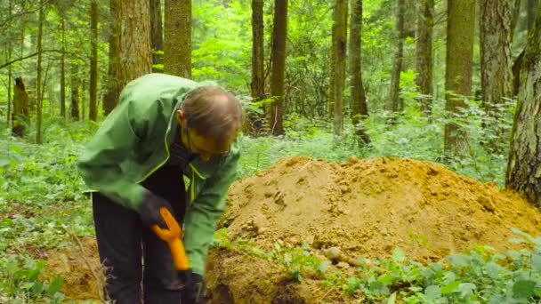 Wetenschapper ecoloog in een forest bodem gleuf graven — Stockvideo