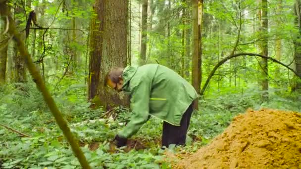Вчений еколог в лісі копає ґрунт щілини — стокове відео