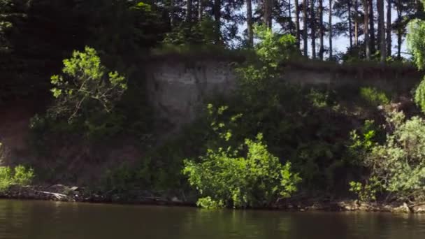 Лес на берегу озера, стреляющий с движущейся лодки — стоковое видео