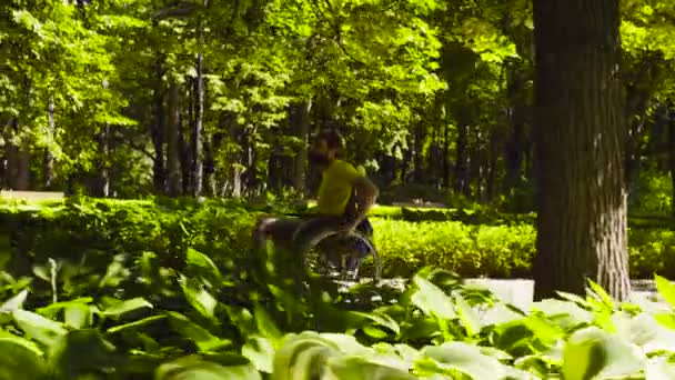 Portret van gelukkige jonge uitschakelen man op een wandeling in het park — Stockvideo