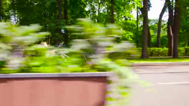 Feliz joven hombre incapacitado está montando bicicleta de mano — Vídeos de Stock