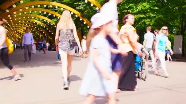 年轻的残疾人男子在公园散步与他的妻子 — 图库视频影像
