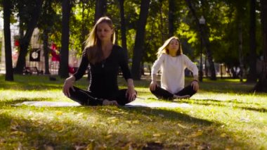 Yoga. İki çekici kadın yoga exersices Park yapıyor