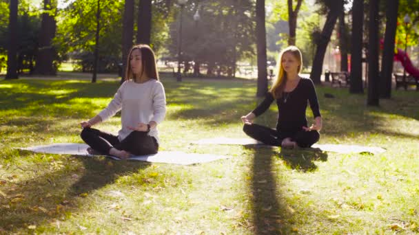 Yoga. Dos mujeres atractivas meditando en el parque — Vídeo de stock