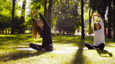 Yoga. İki çekici kadın yoga exersices Park yapıyor