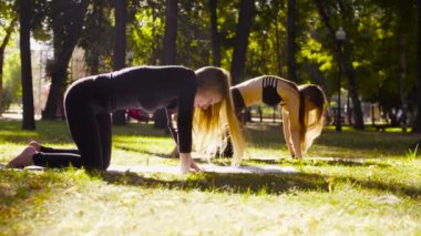 Yoga. İki çekici kadın yoga exersices Park yapıyor