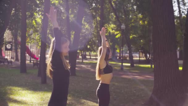 Yoga. Dos mujeres atractivas haciendo ejercicios de yoga en el parque — Vídeo de stock