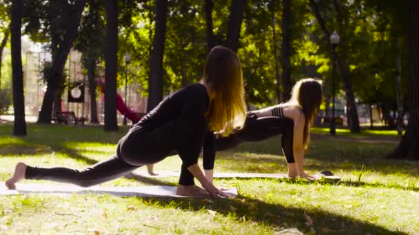 瑜伽。两个漂亮的女人在公园里做瑜伽健身操 — 图库视频影像