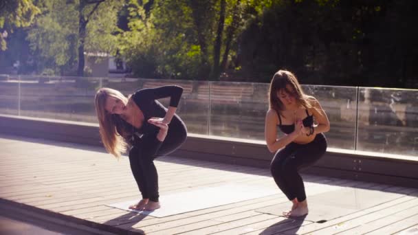 Du yoga. Deux jolies femmes faisant des exercices de yoga dans le parc — Video