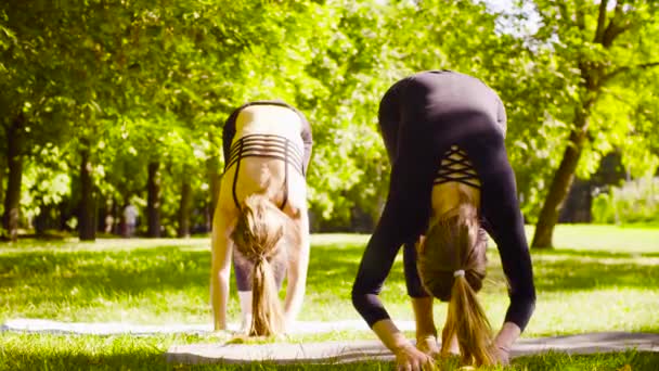 Yoga. Dos mujeres atractivas haciendo ejercicios de yoga en el parque — Vídeo de stock