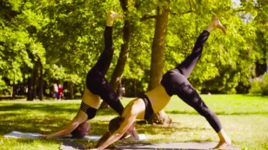 Yoga. İki çekici kadın yoga exersices Park yapıyor
