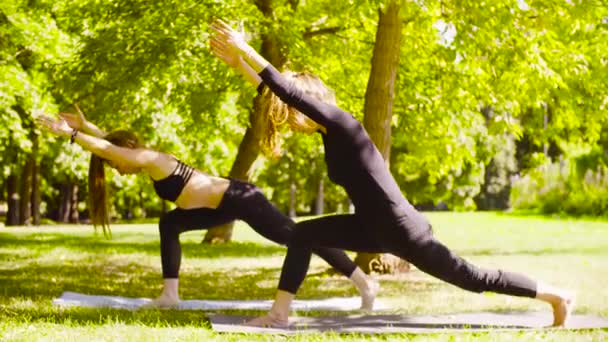 Yoga. Dos mujeres atractivas haciendo ejercicios de yoga en el parque — Vídeo de stock