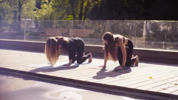 Yoga. Två attraktiv kvinna gör yoga exersices i parken — Stockvideo