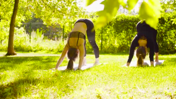 Yoga. zwei attraktive Frauen bei Yoga-Übungen im Park — Stockvideo