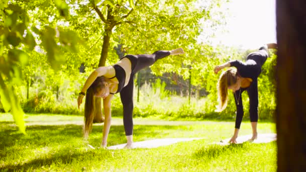 Jóga. Két csinálás jóga exersices a parkban, vonzó nő — Stock videók