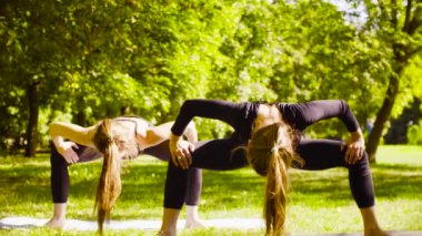 Yoga. İki çekici kadın yoga exersices Park yapıyor