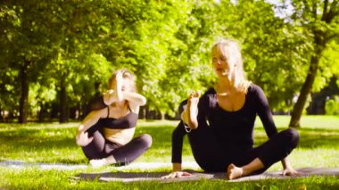 Yoga. İki çekici kadın yoga exersices Park yapıyor