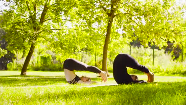 Yoga. Dos mujeres atractivas haciendo ejercicios de yoga en el parque — Vídeo de stock