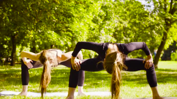 Yoga. Dos mujeres atractivas haciendo ejercicios de yoga en el parque — Vídeo de stock