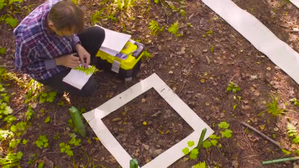 L'uomo ecologo descrive le piante all'interno del sito di marcatura quadrato . — Video Stock