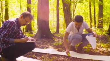 Adam ekolojist sitesi işaretleme kare içinde bitkiler açıklar.