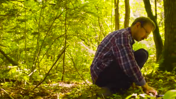 Der Mann Ökologe schießt Pflanzen im Wald — Stockvideo